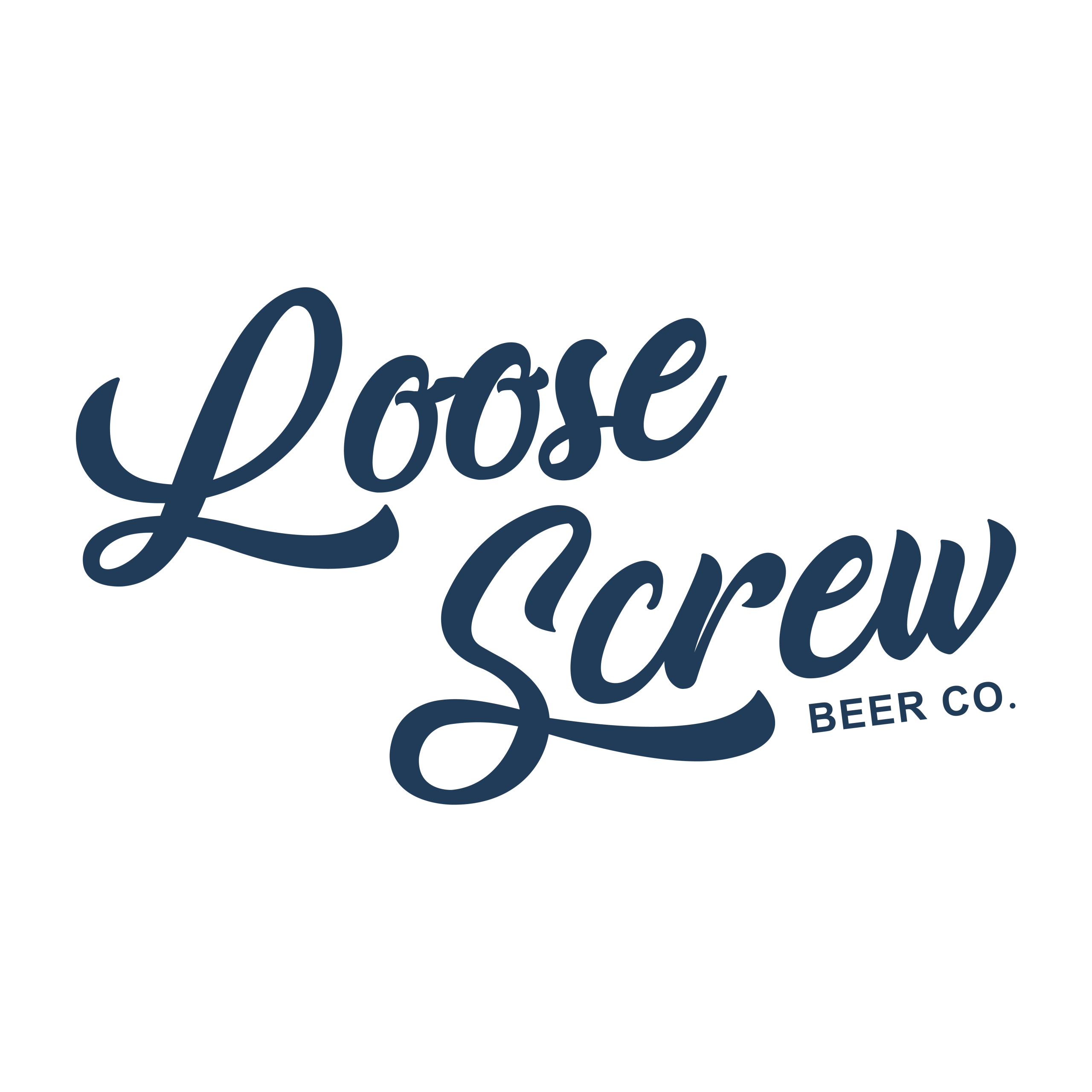 New Loose Screw Logo 11-19-24-10